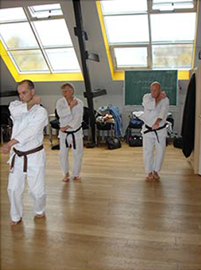 Karate Fortgeschrittene